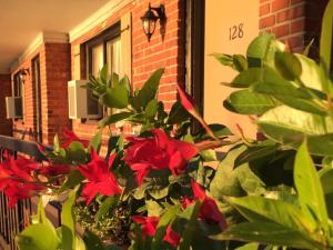 motel et appartements du fleuve