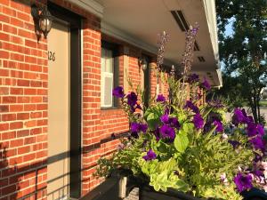 motel et appartements du fleuve