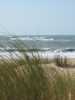 Le Heron Cendre,La Tremblade>>Charente-Maritime,2 star