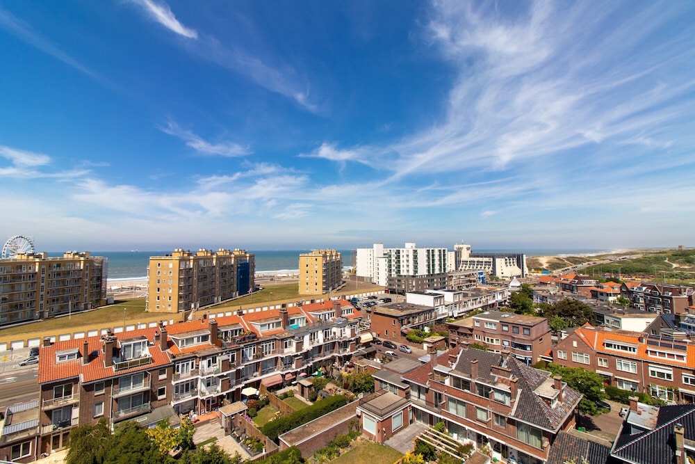 the hague