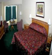 black bear inn ascend hotel collection