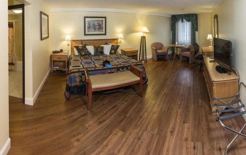 black bear inn ascend hotel collection