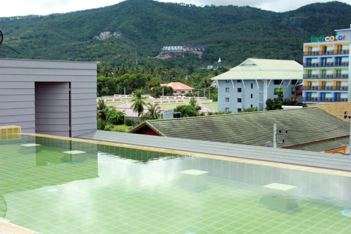 cheeky monkeys samui