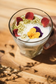 mikasa ibiza boutique hotel adults only