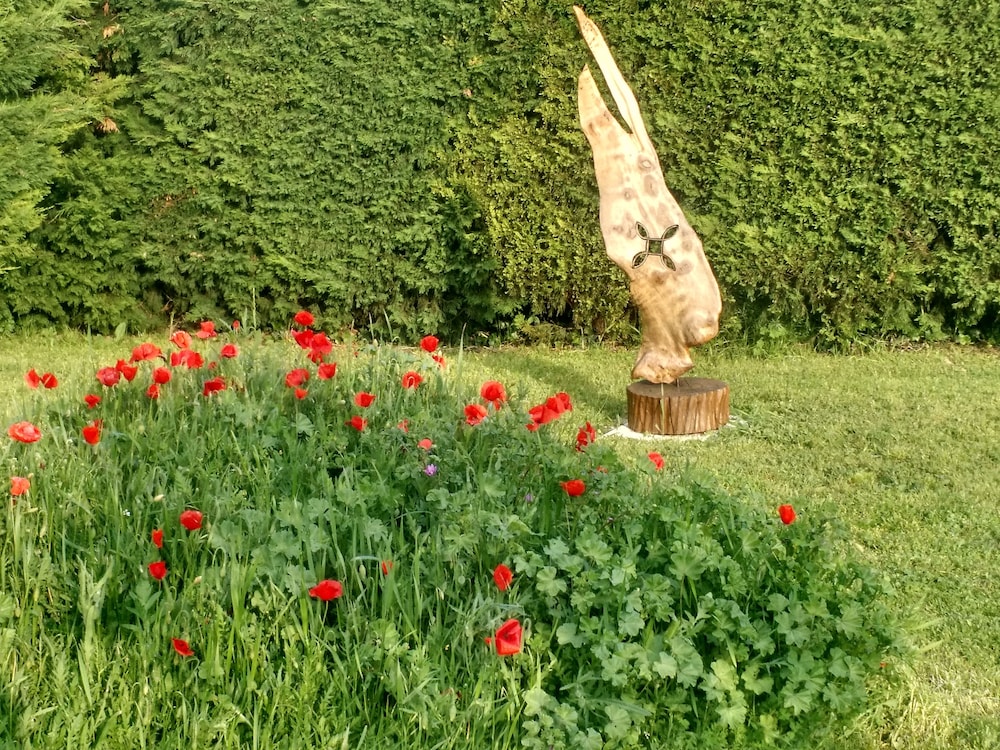 le moulin du chateau