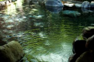 yufuin onsen ryotei tanokura