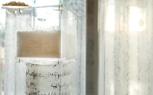 business hotel tunis