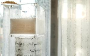 business hotel tunis