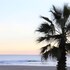 hotel saint georges face a la mer