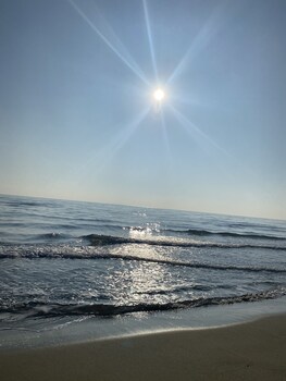 hotel saint georges face a la mer