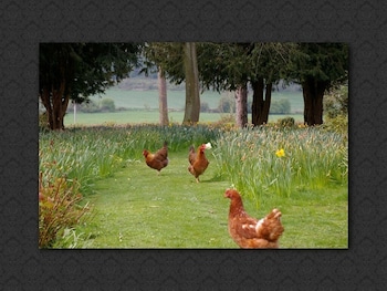 Langrish House,Gosport>>East Meon,2 star