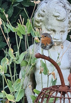 hotel bien etre aux cypres de marquay