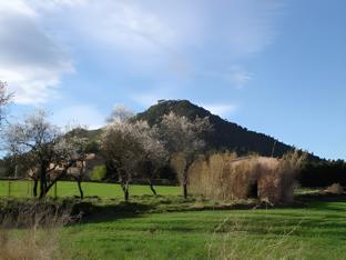 hotel 1948 manresa