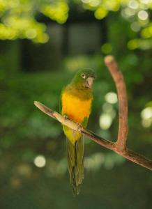 pauli boutique hotel