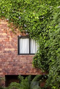 pauli boutique hotel