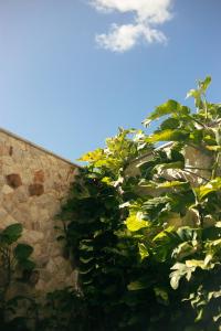 pauli boutique hotel