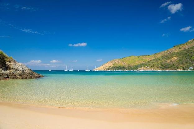 nature pine residence