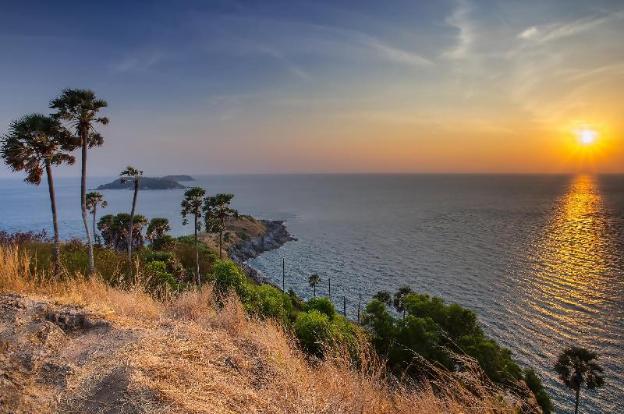 nature pine residence