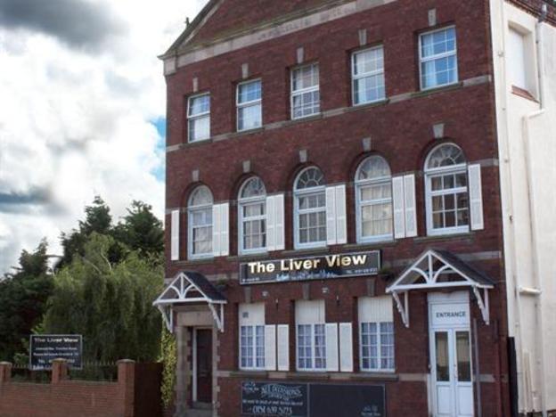 the liver view