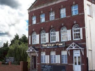 the liver view