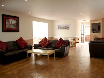 the liver view