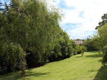 the liver view