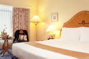 waterfront cebu city hotel and casino