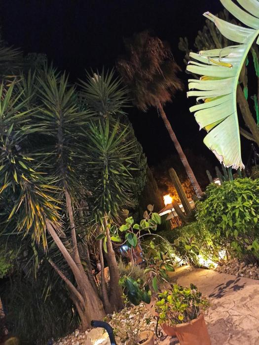 palacio sant salvador