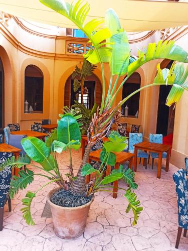 palacio sant salvador