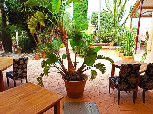 palacio sant salvador