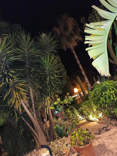 palacio sant salvador