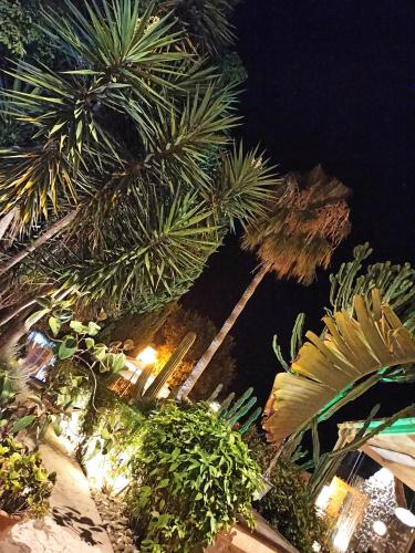 palacio sant salvador