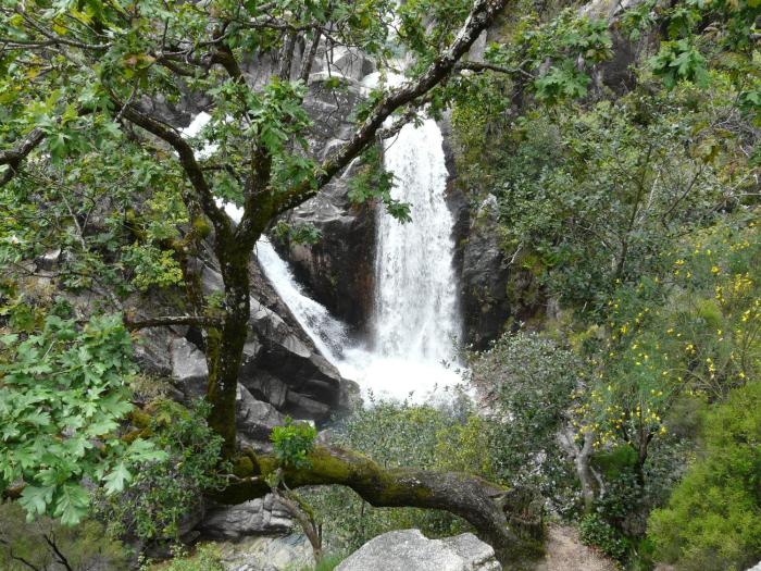 terras de bouro