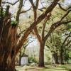 the myrtles plantation