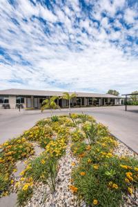 athena studio units