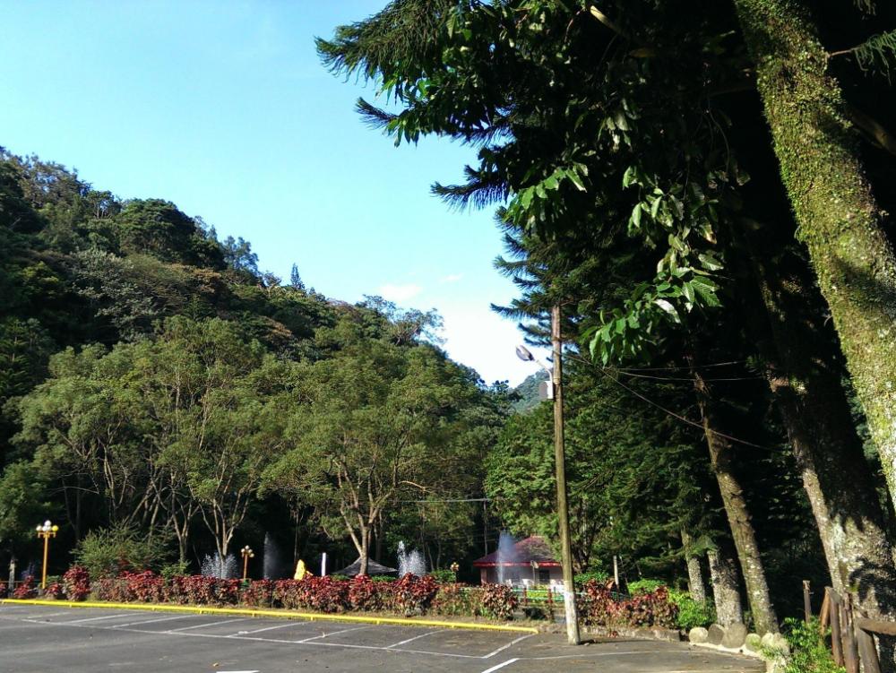 beautiful landscape resort