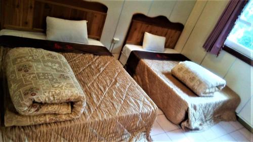 beautiful landscape resort