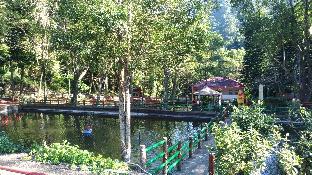 beautiful landscape resort