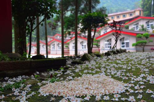 beautiful landscape resort