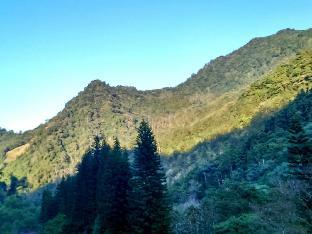 beautiful landscape resort