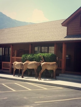 yellowstone village inn and suites