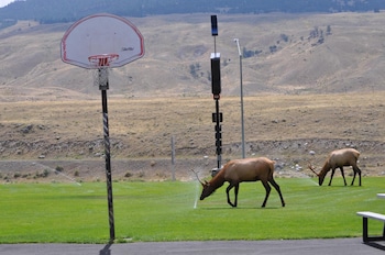 yellowstone village inn and suites