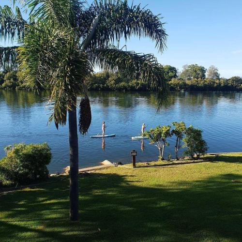 bellinger river tourist park