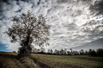 borgo colognola dimora storica