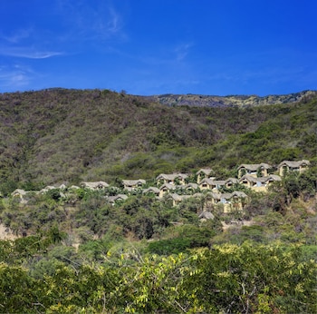 apulo