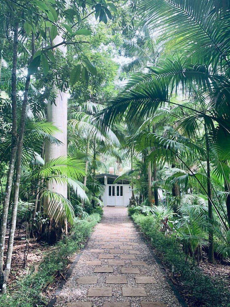tamborine mountain