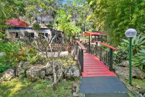 songbirds rainforest retreat