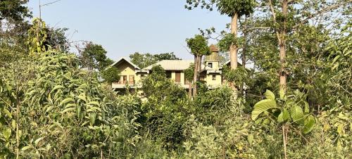 sauraha