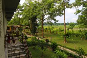 sauraha