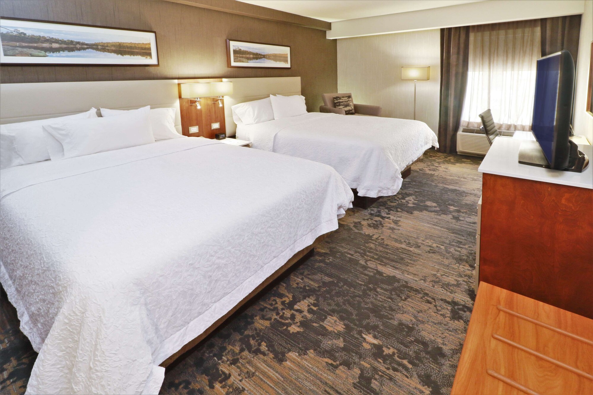 hampton by hilton chihuahua
